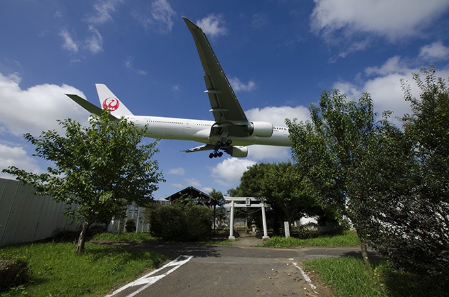 Ogawa Shinsuke and Ogawa Pro: The Wages of Resistance: The Narita